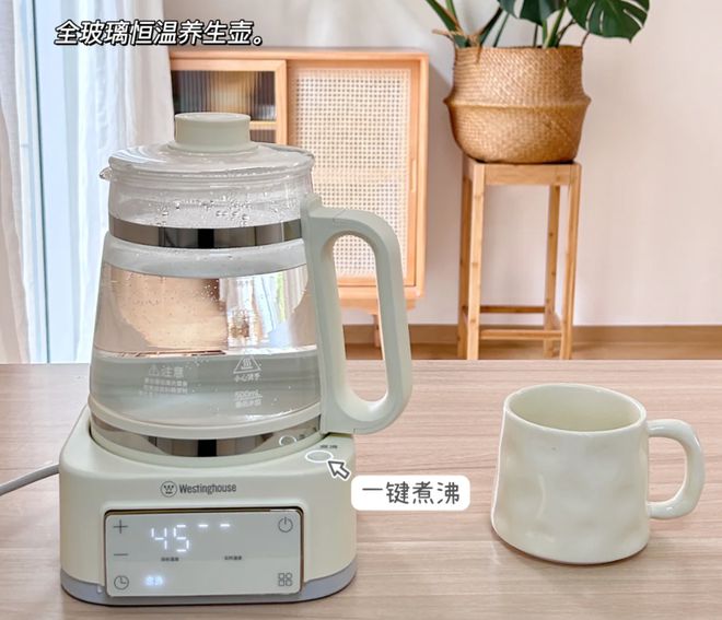 最常用的却只有5个真想给自己一巴掌！k8凯发国际入口买了一堆小厨电才发现(图2)