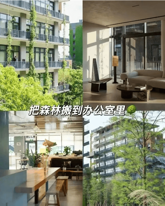 搬进园区的宝藏办公室你去过几个?K8凯发·国际网站深圳这些把园林(图5) 搬进园区的宝藏办公室你去过几个?K8凯发·国际网站深圳这些把园林(图5)