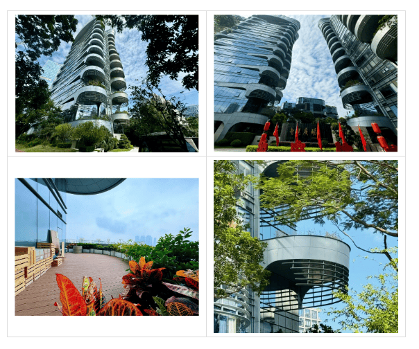 搬进园区的宝藏办公室你去过几个?K8凯发·国际网站深圳这些把园林(图8) 搬进园区的宝藏办公室你去过几个?K8凯发·国际网站深圳这些把园林(图8)